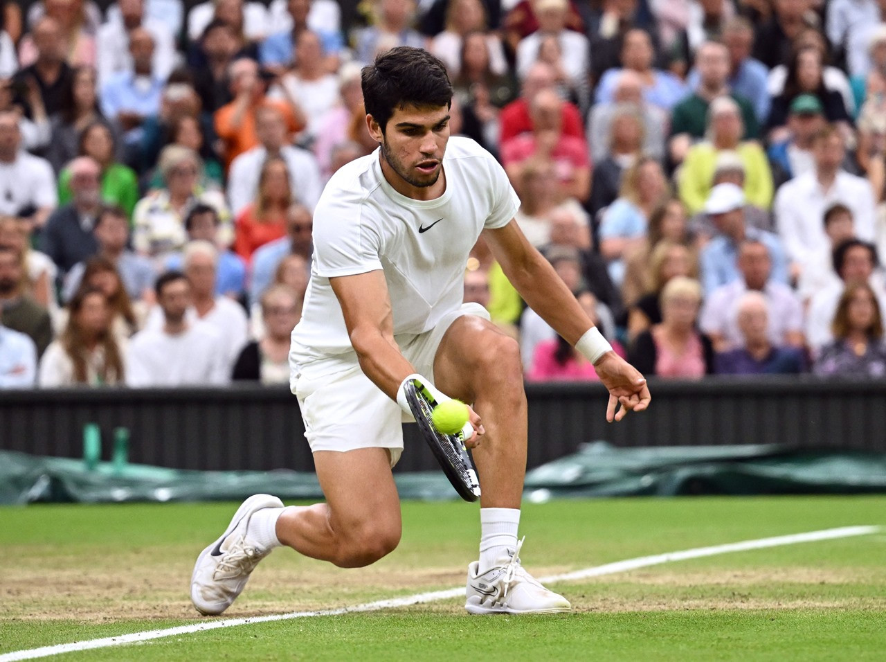 Carlos Alcaraz tái ngộ Djokovic ở chung kết Wimbledon 2023