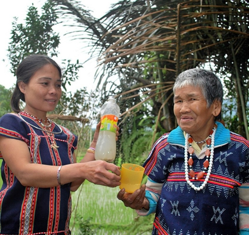 Nghề lạ ở Việt Nam: Mổ cây lấy nước ra ngay thứ rượu cay nồng không xỉn - 7