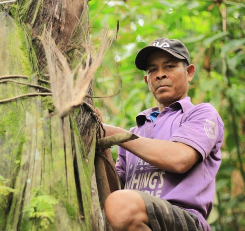 Nghề lạ ở Việt Nam: Mổ cây lấy nước ra ngay thứ rượu cay nồng không xỉn - 10
