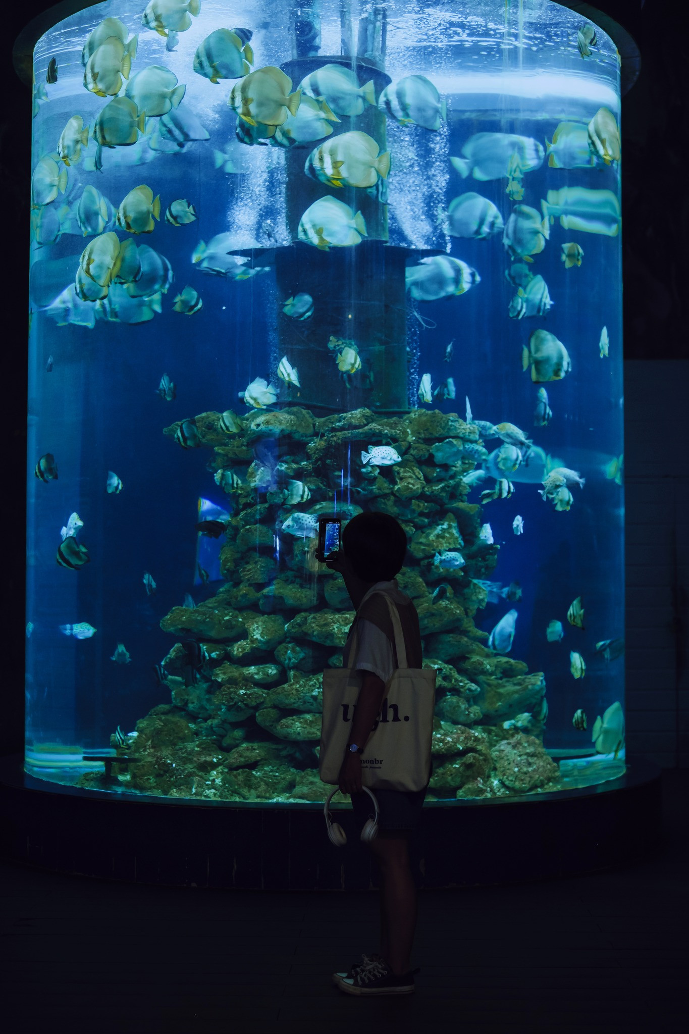 Bảo tàng 100 tuổi về đại dương với những góc check-in 'chất lừ' không thể bỏ qua