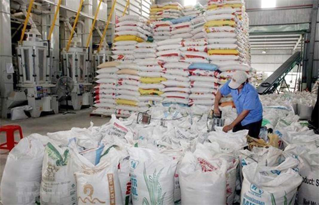 Vietnam’s rice prices at 10-year highs