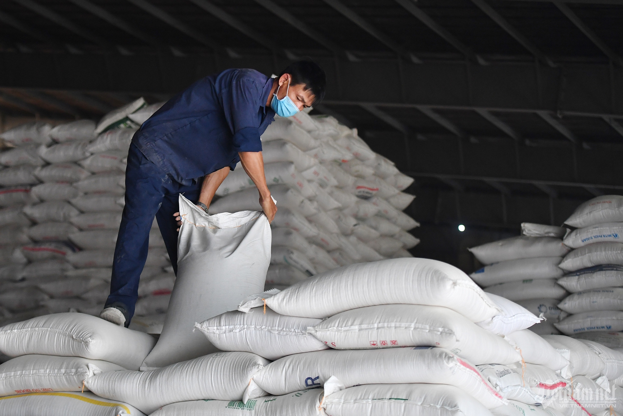 1 million ha of paddy, 9 million tons of high-quality rice in pipeline