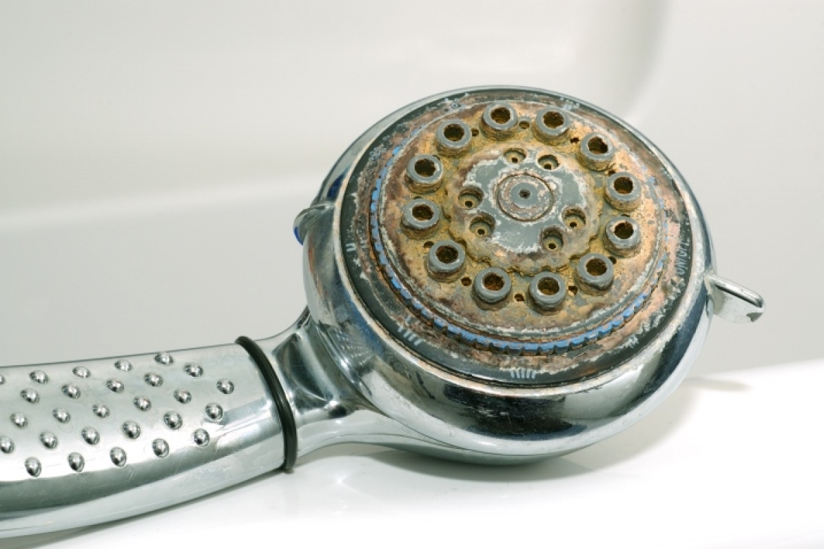 How to unclog a showerhead easily and cost-effectively