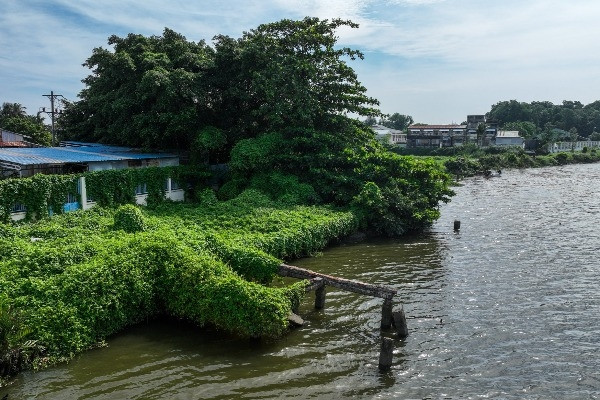 Dừng hợp đồng nhà thầu yếu kém thi công kè chống sạt lở bán đảo Thanh Đa