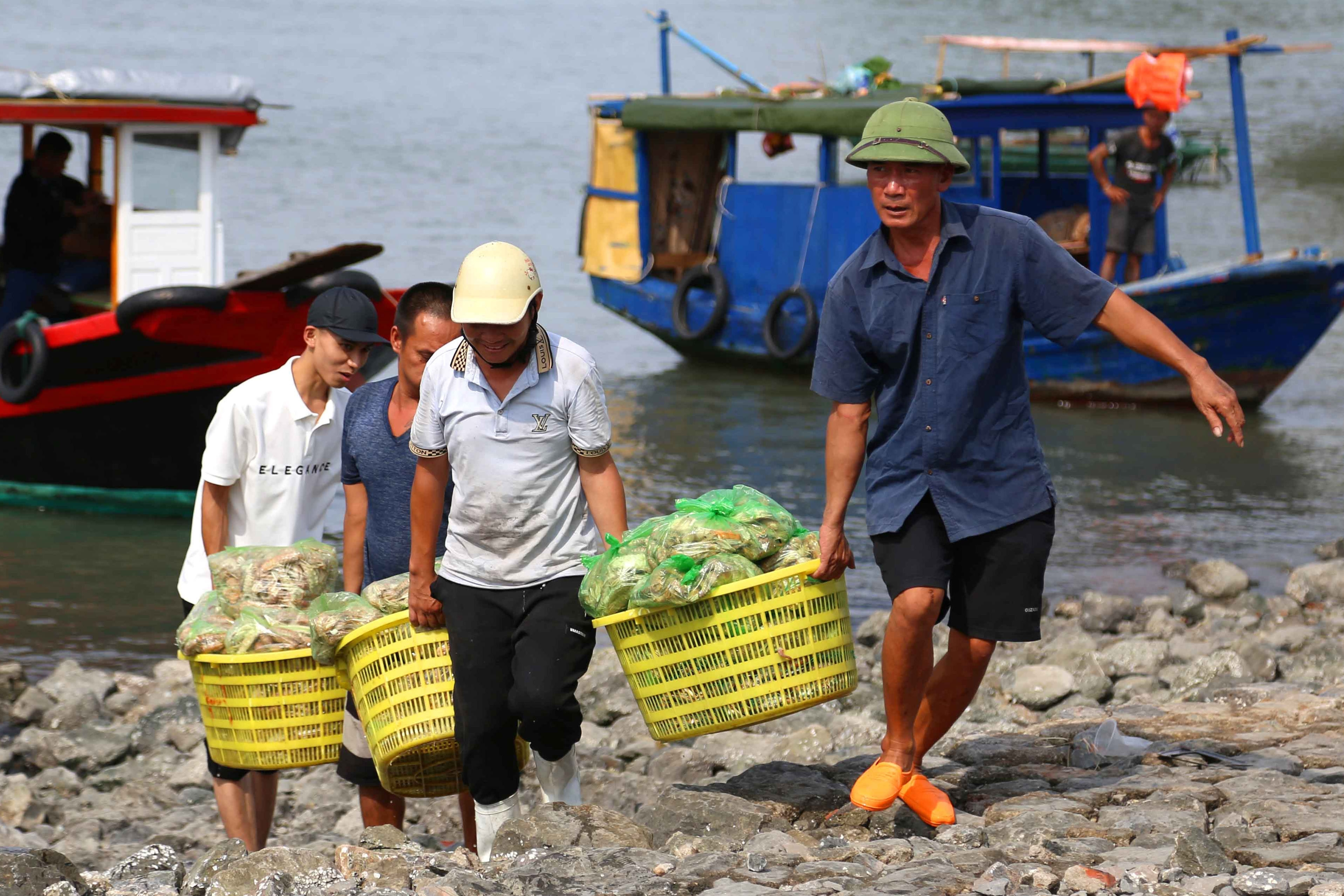 Quảng Ninh: Tàu chui gầm cầu, ngư dân hối hả lên bờ tránh bão số 1