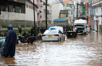 Country to promote environmental protection in Da Lat