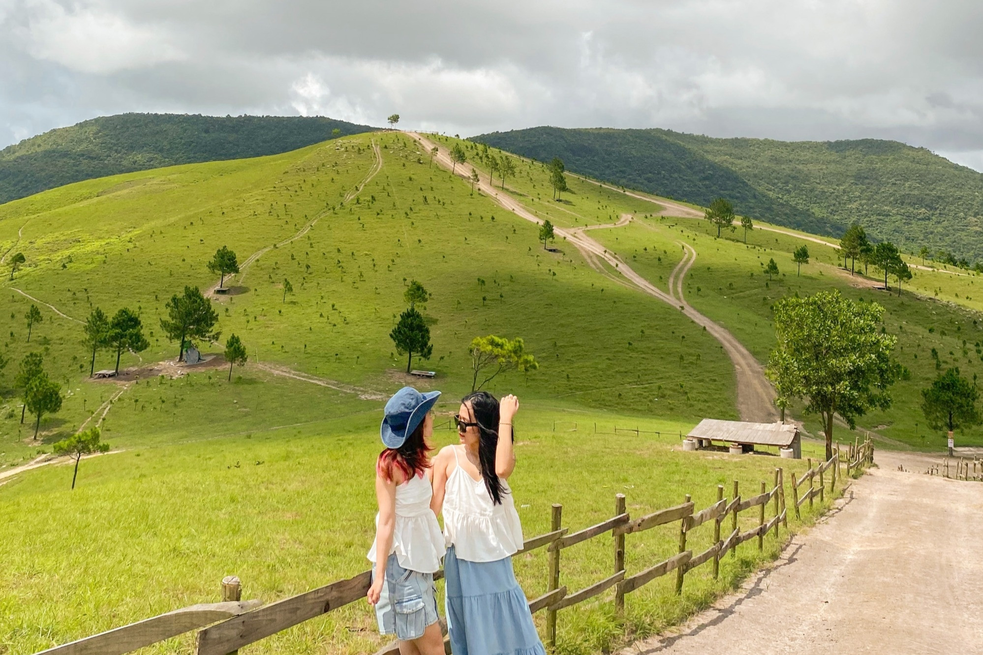Vi vu đỉnh Phượng Hoàng xanh mướt tận chân trời, đẹp như châu Âu ở Quảng  Ninh