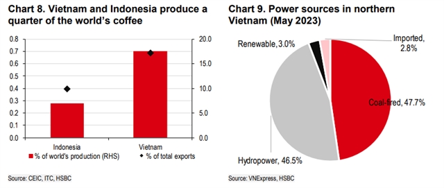 VN's rice and coffee acutely vulnerable from El Nino: HSBC economists