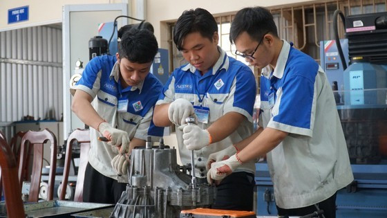 Vocational training institutions in crisis ảnh 1
