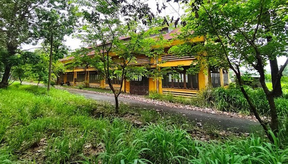 Vocational training institutions in crisis ảnh 2