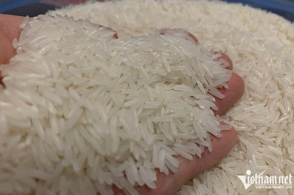 Will VN benefit from major rice producers’ export bans?