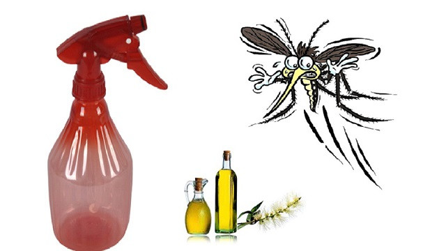 How to make homemade mosquito spray in 30 seconds