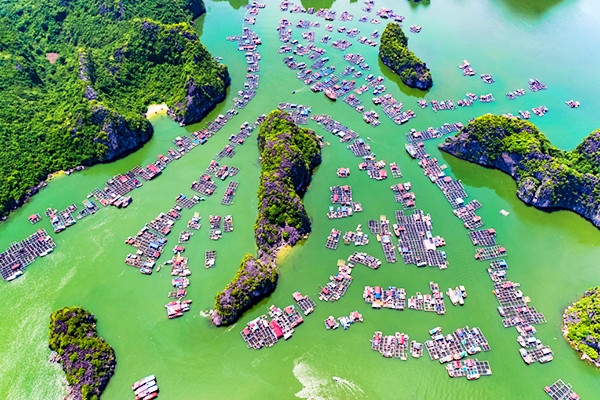 Làng chài Cửa Vạn lọt top 'làng cổ đẹp như tranh' của thế giới