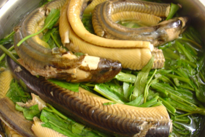 Lươn tốt cho sức khỏe nhưng ai không nên ăn?