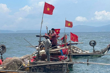 Tàu cá va chạm với bè mảng, 1 ngư dân rơi xuống biển tử vong