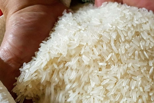 Ấn Độ chính thức cấm xuất khẩu, gạo Việt tiếp tục tăng giá