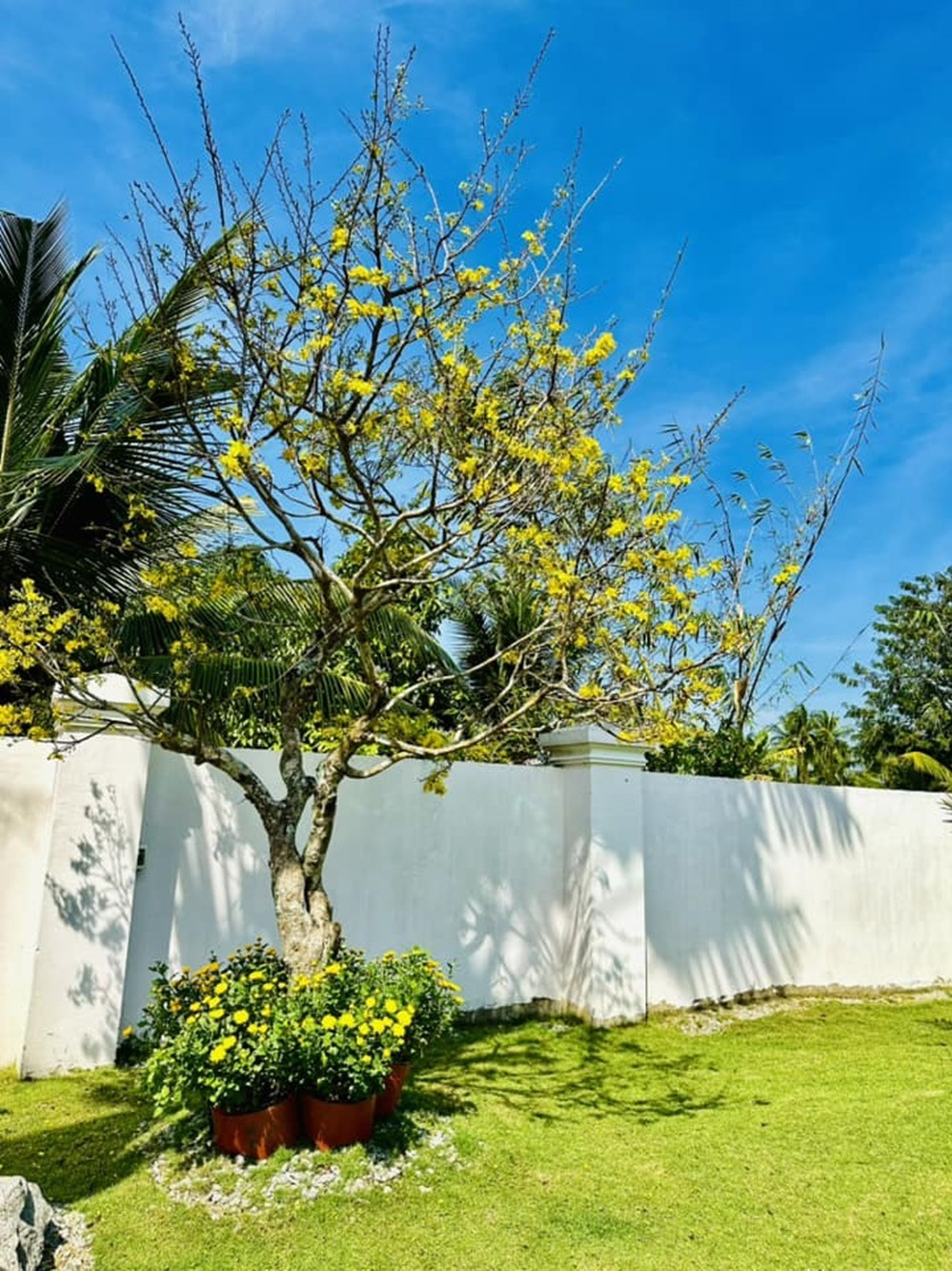 Biệt phủ 4.000 m2 của gia đình ca sĩ Lâm Hùng - Ảnh 9.