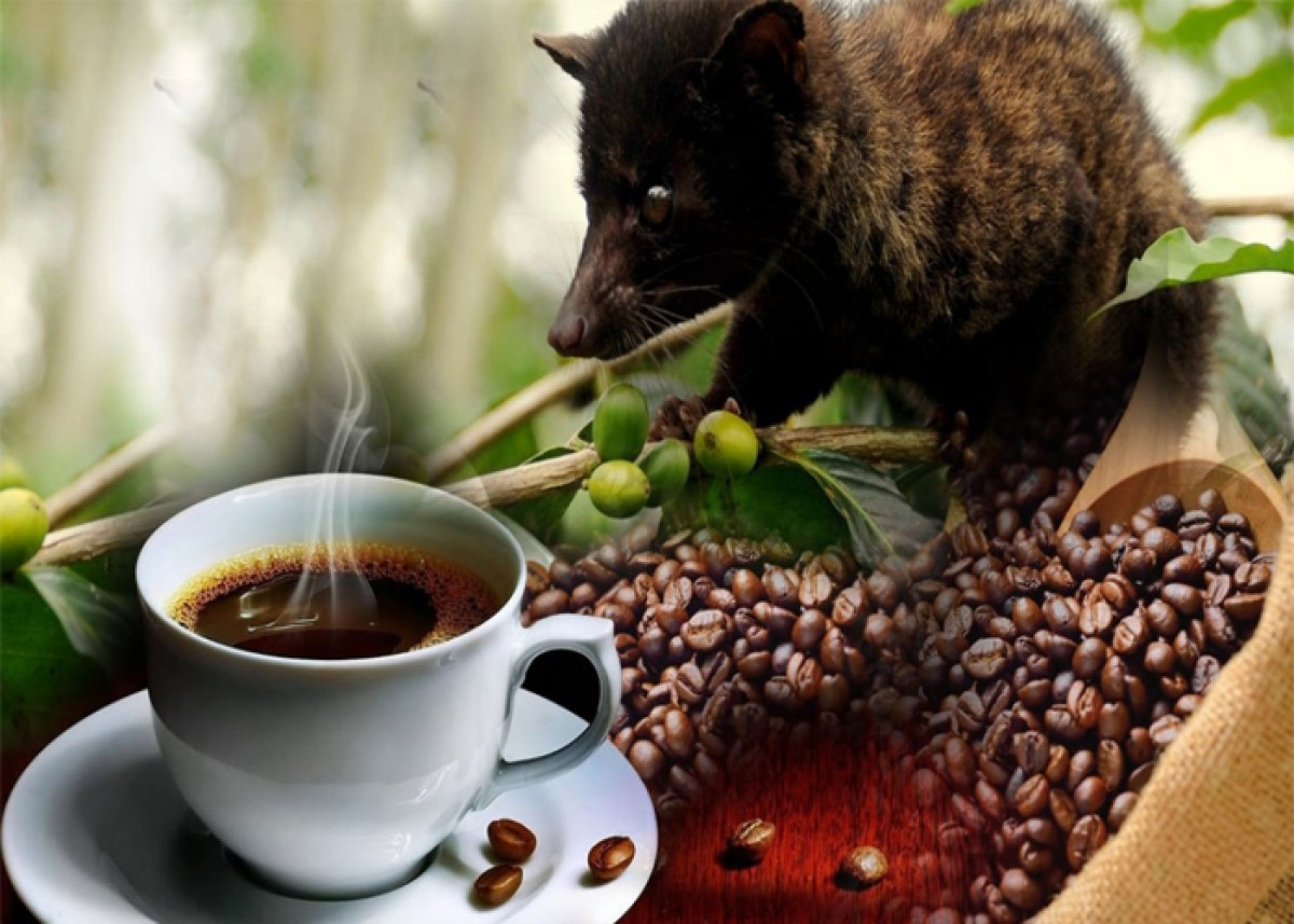 uk newspaper reveals eight oddest things about vietnam picture 2