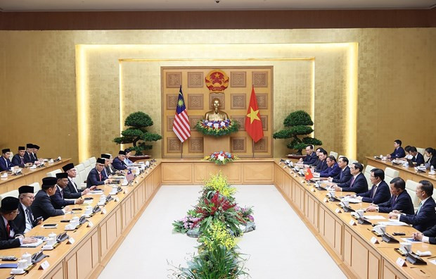 Vietnamese, Malaysian PMs delighted at development of bilateral relations hinh anh 2