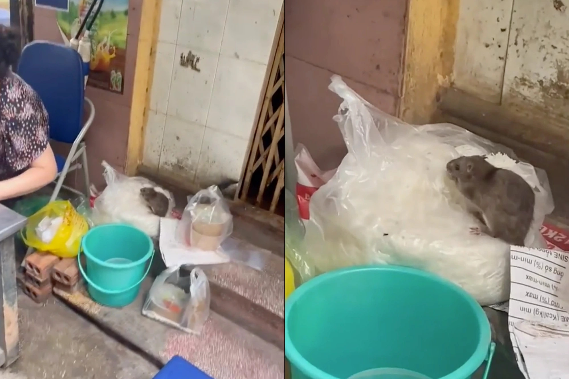 Xác minh địa điểm quán ăn Hà Nội trong video 'chuột bò trên túi bún'