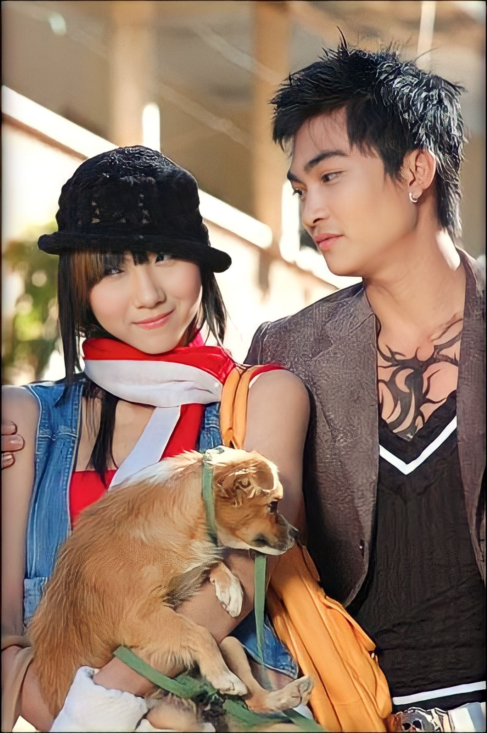 Dàn sao phim Hoa dã quỳ gây sốt 16 năm trước, giờ ra sao? - 8