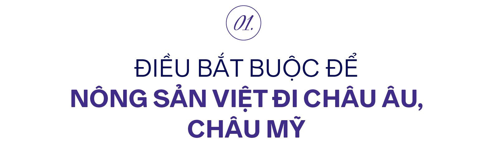 ‘Người gác cổng’ cho nông sản Việt đi những thị trường khó tính nhất thế giới và ‘chấp niệm’ người Việt phải được ăn sạch - Ảnh 2.