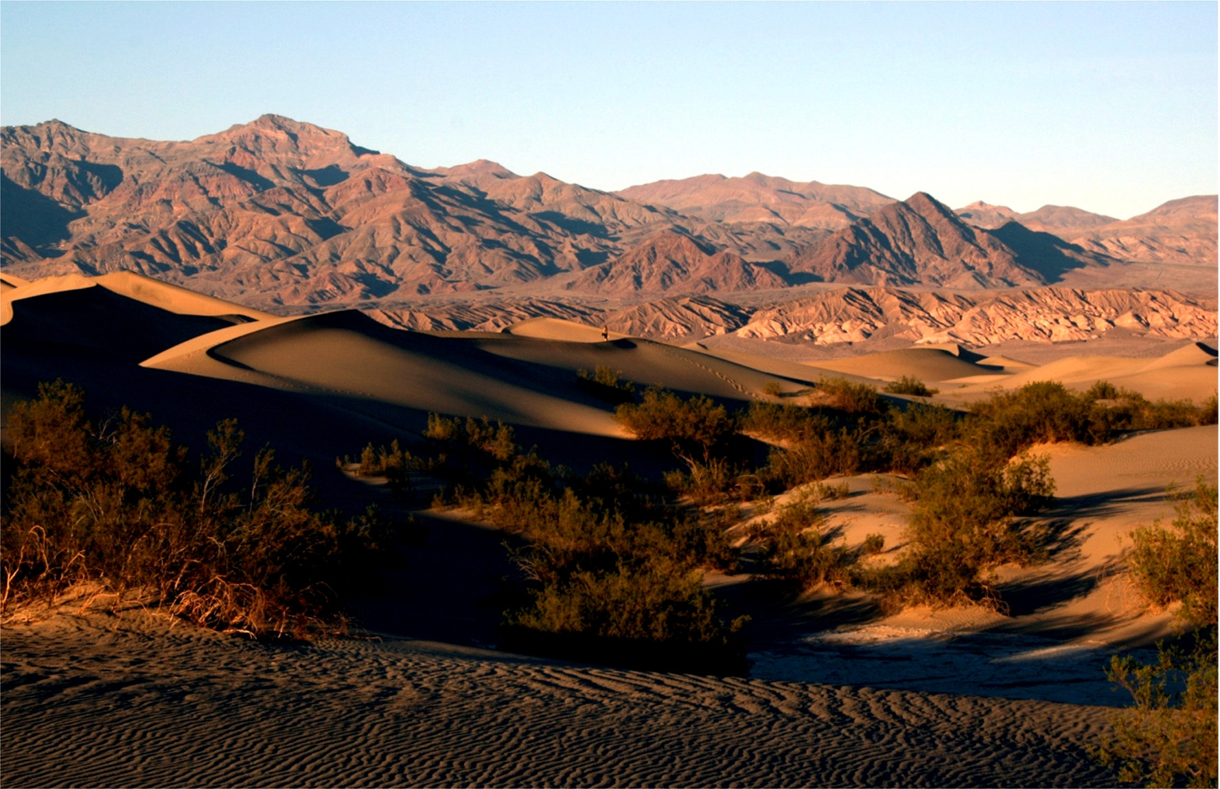 sand dunes in death valley national park 1177