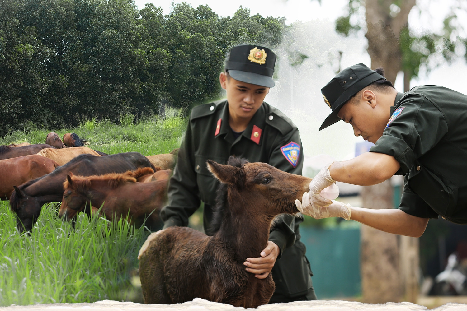 Bé gái 13 tháng tuổi nứt sọ não sau khi đi nhà trẻ