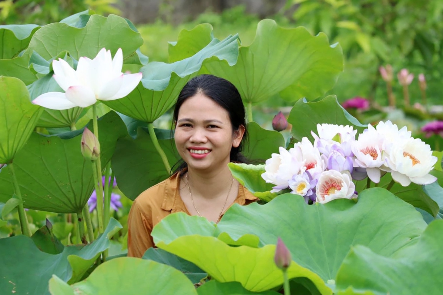 Nở hoa ở vùng đất Nghệ An đầy nắng gió Lào khắc nghiệt