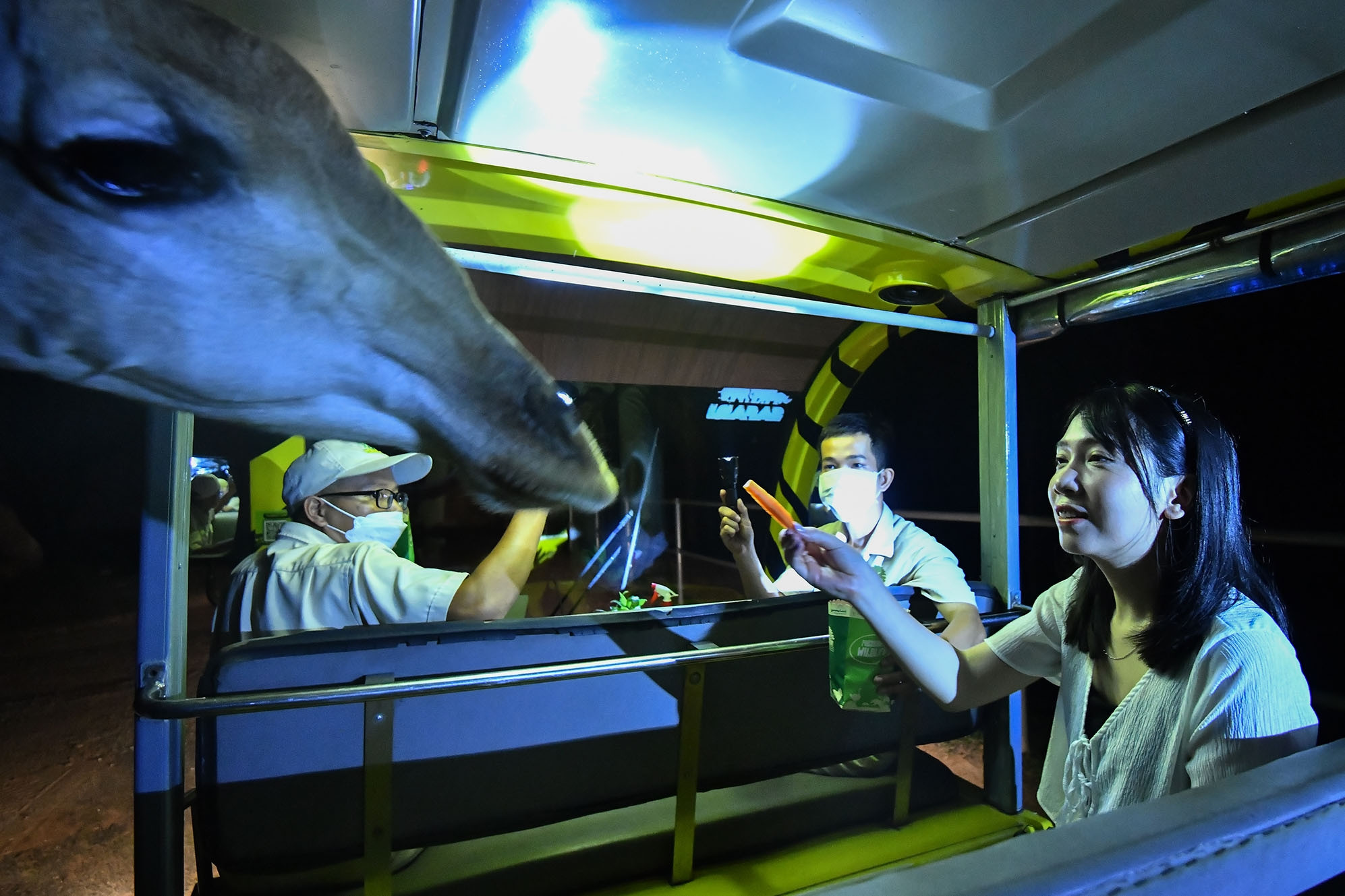 Soi đèn pin xem hổ, báo, hươu trong vườn thú lớn nhất Việt Nam