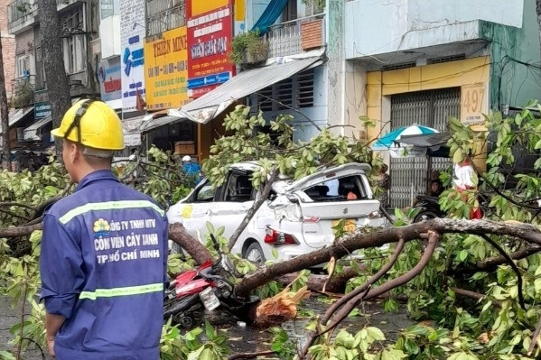 Cây cổ thụ gãy ngọn đè ô tô, xe máy ở trung tâm TP.HCM