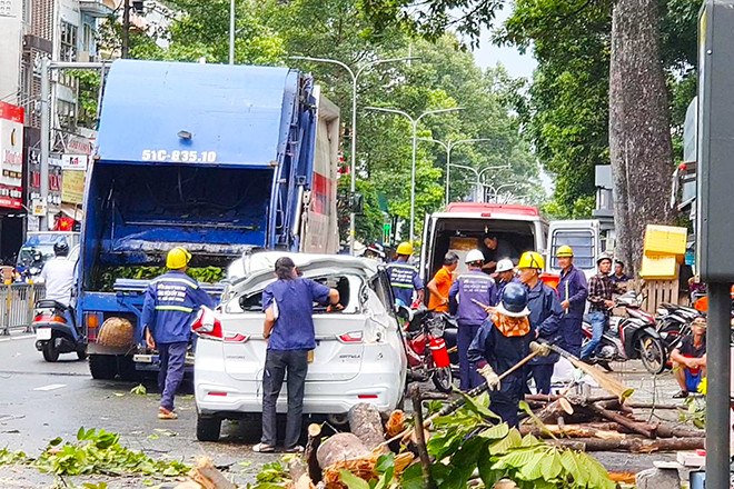 Cây gãy nhánh đè ô tô, xe máy tại trung tâm TP.HCM, nhiều người thoát nạn