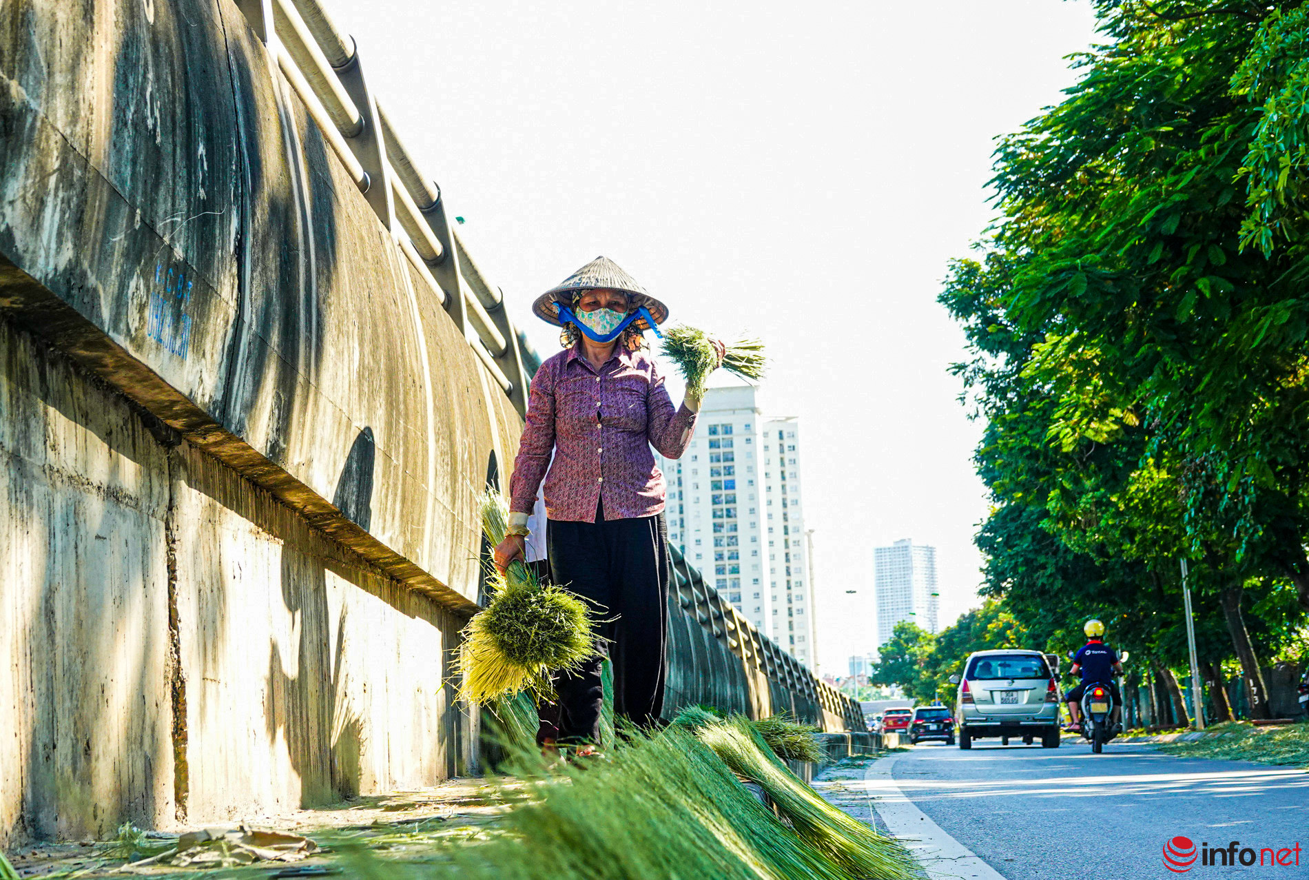 Hanoi, Ho Chi Minh City among the best Vietnam holiday destinations in Asia
