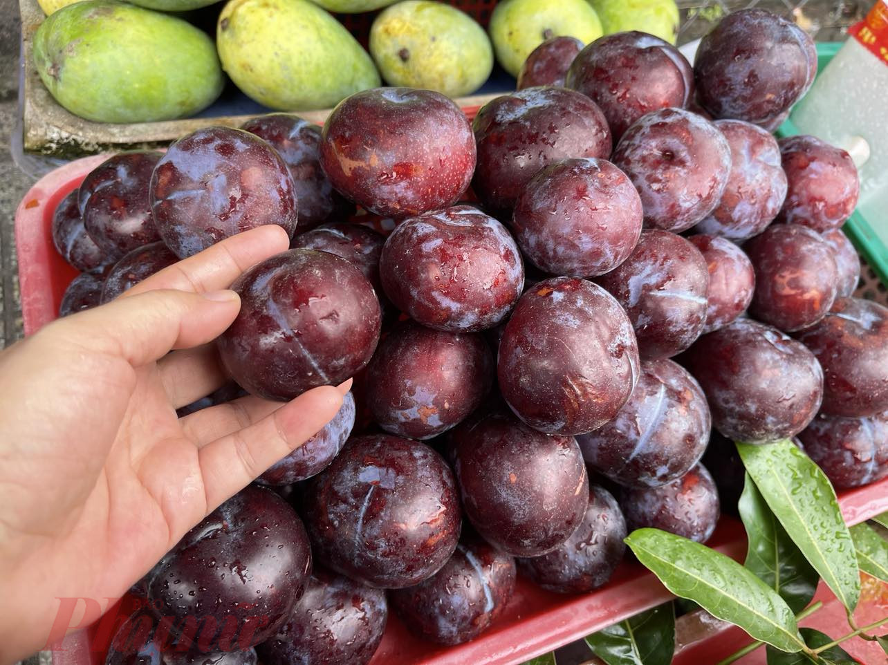 Mận đen Trung Quốc nhưng người bán giới thiệu là mận Úc - Ảnh: Nguyễn Cẩm
