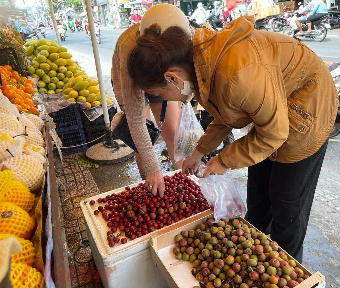 Mận cherry trái nhỏ, ruột chín mềm hiện đã hết mùa - Ảnh: Nguyễn Cẩm
