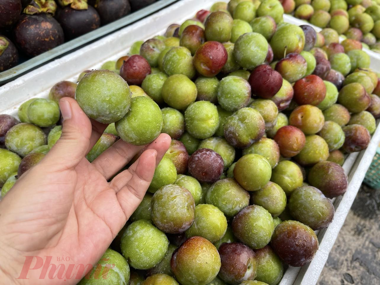 Đây cũng là mận tróc hạt xuất xứ Trung Quốc, nơi bán chào mận cơm Mộc Châu, giá 50.000 đồng/kg - Ảnh: Nguyễn Cẩm