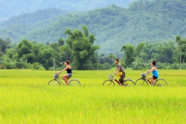 Nông dân vẫn chân lấm tay bùn, còn 'mỏ vàng' chưa khai thác