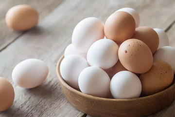 So sánh độ bổ dưỡng của trứng gà vỏ nâu và trắng