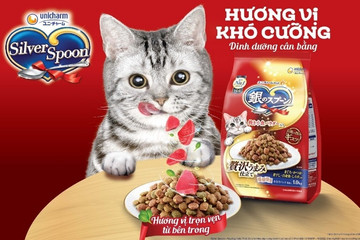 Silver Spoon - thức ăn cho mèo hàng đầu Nhật Bản đã bán tại Việt Nam