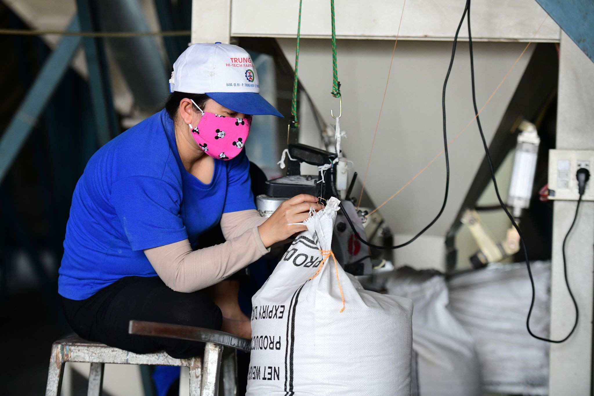 Việt Nam nắm quyền chủ động, giá gạo xuất khẩu có thể đạt 1.000 USD/tấn