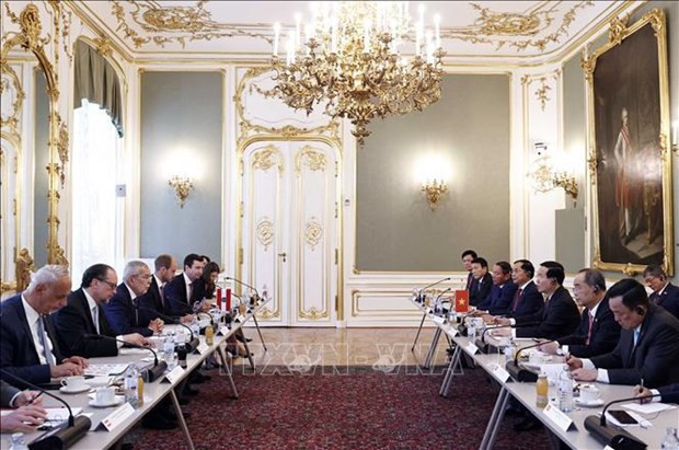 Vietnamese, Austrian Presidents hold talks hinh anh 1