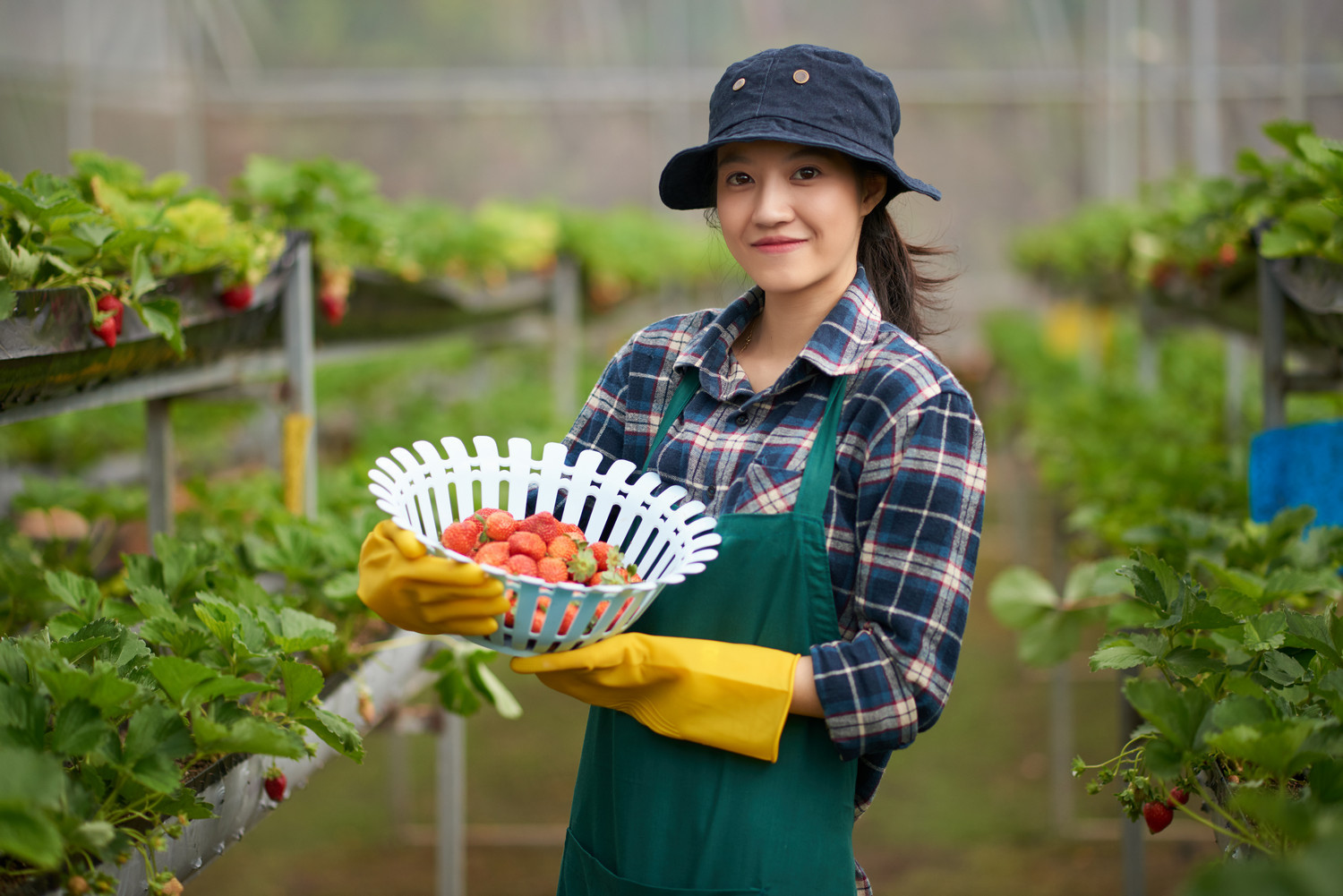 BIDV giảm lãi suất vay cá nhân, chỉ từ 7%/năm 