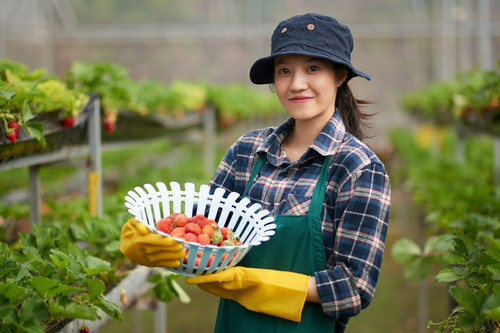 BIDV giảm lãi suất vay cá nhân, chỉ từ 7%/năm