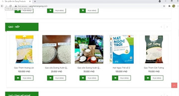 Vietnam's national e-commerce platform under development