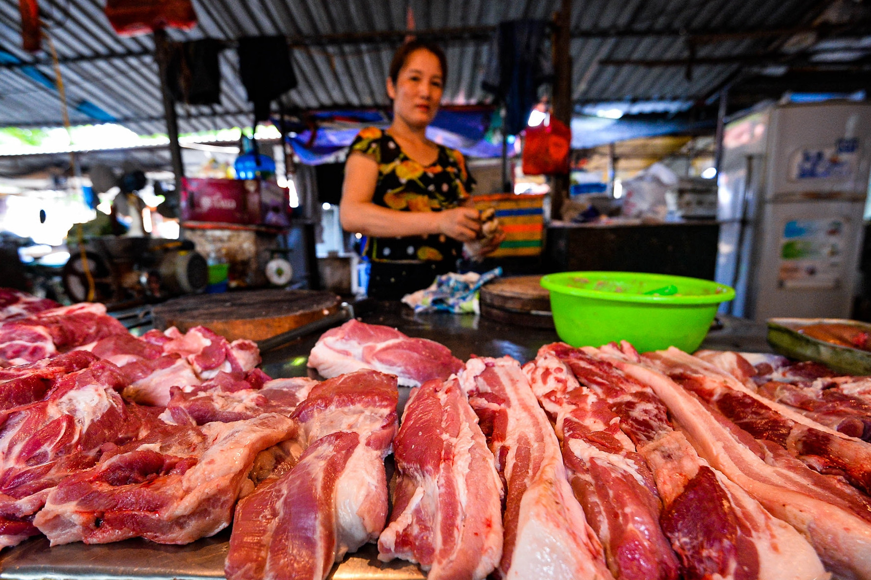 Giá thịt lợn hơi lại ‘chạm đáy’, người chăn nuôi thua lỗ