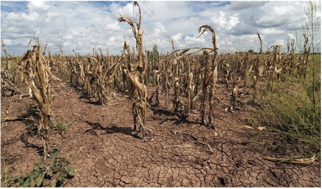 El Nino forecast to cause complicated weather patterns this year