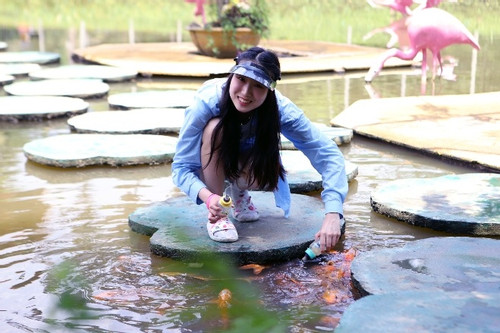 Người trẻ hào hứng cho đàn cá 'bú bình' trên núi ở Khánh Hoà