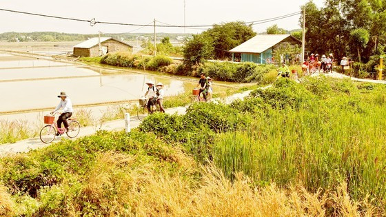 Vietnam's tourism industry making non-stop efforts to find new customers ảnh 1