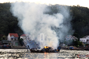 Bản tin trưa 29/7: Loạt tàu cá ở Nghệ An cháy rụi, thiệt hại hàng chục tỷ đồng