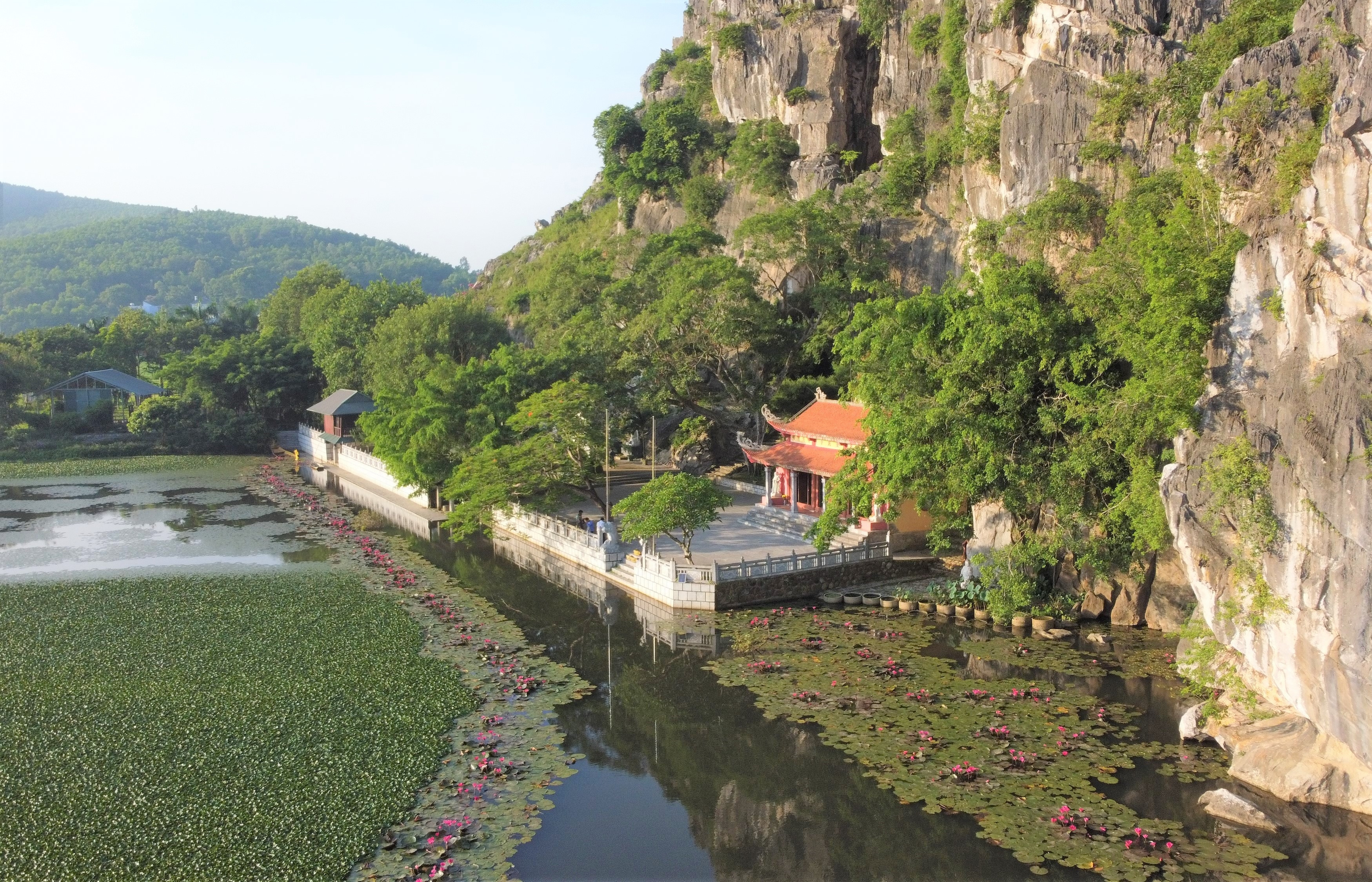 Ngôi chùa đặc biệt ở Thanh Hoá, mỗi ngày có đàn khỉ hoang rủ nhau về